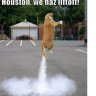 RocketCats